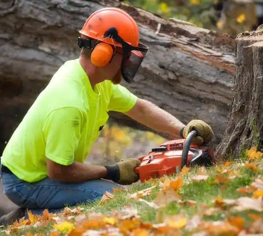 tree services Pickerington